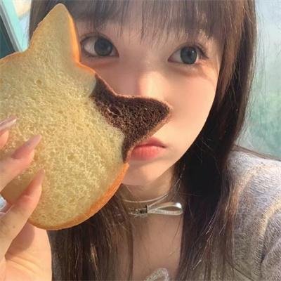 住在海边的猫头鹰